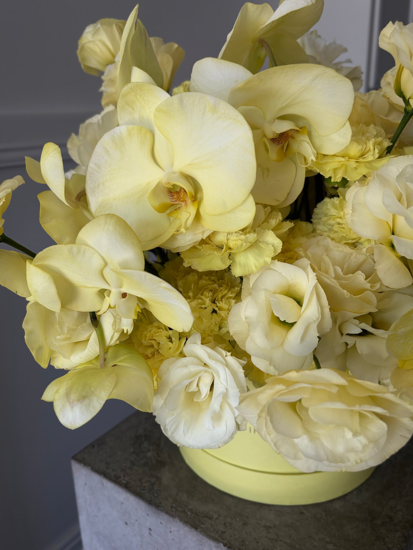 Butter Yellow Box