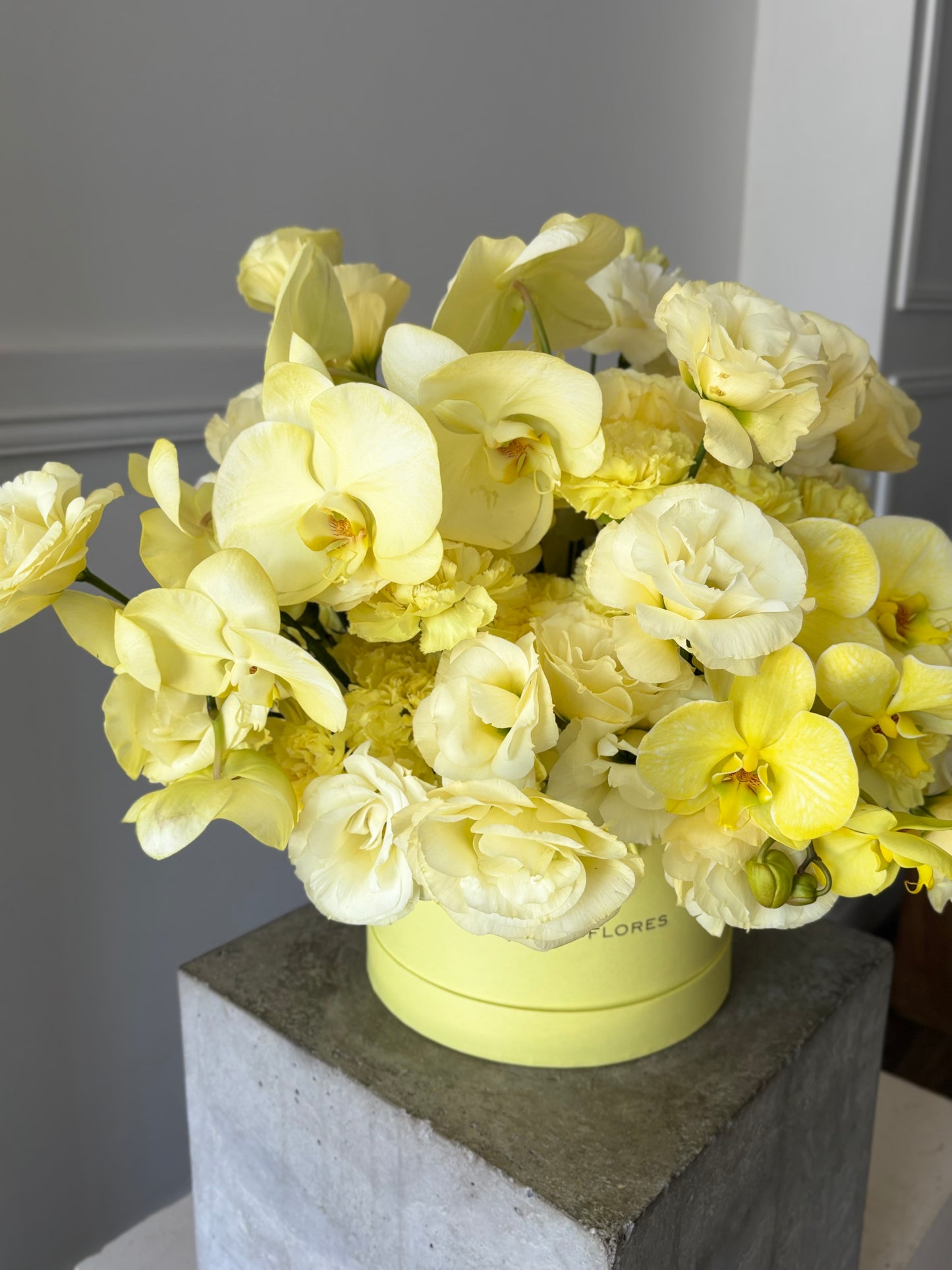 Butter Yellow Box