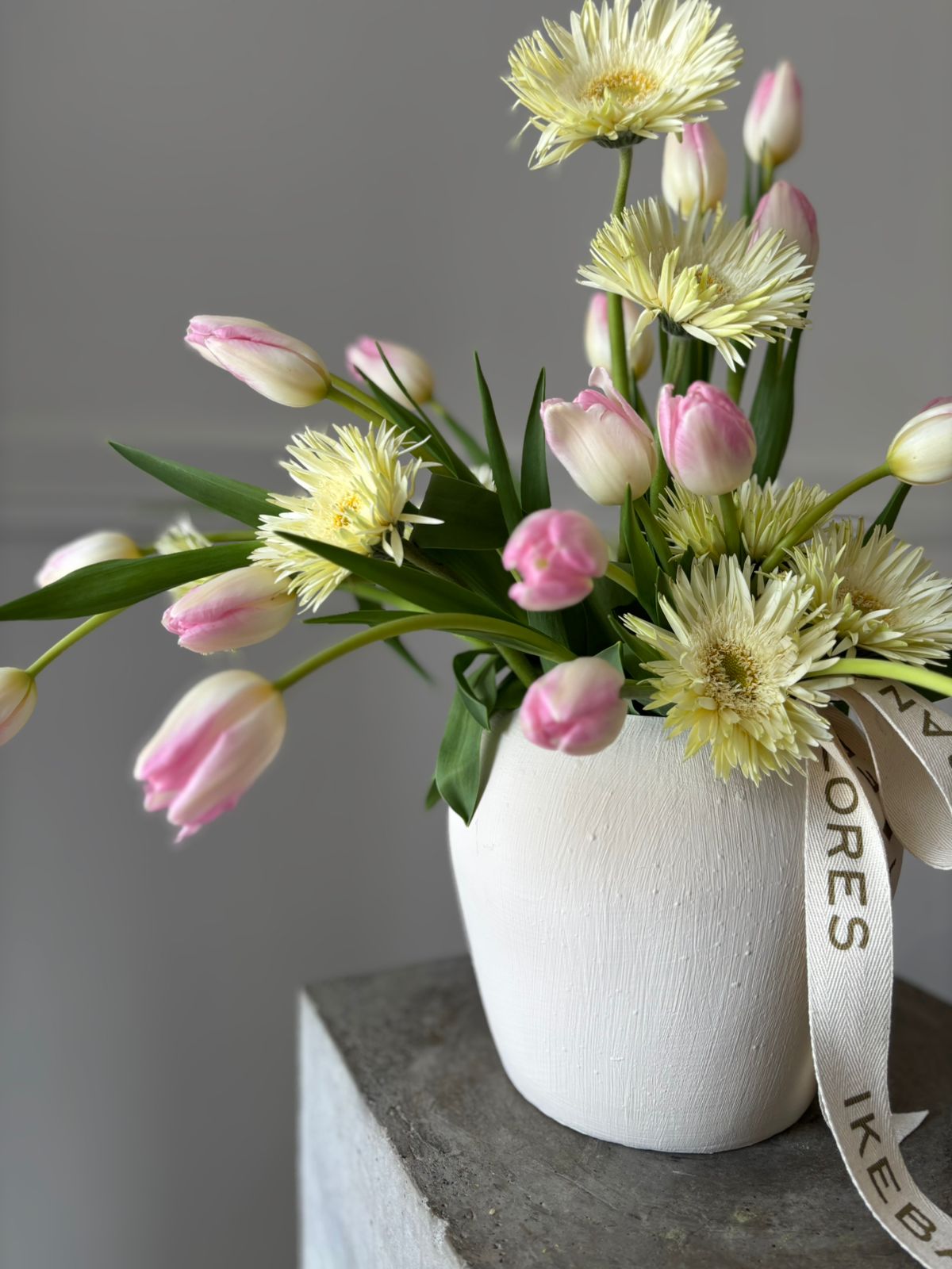 Tulipanes en Movimiento