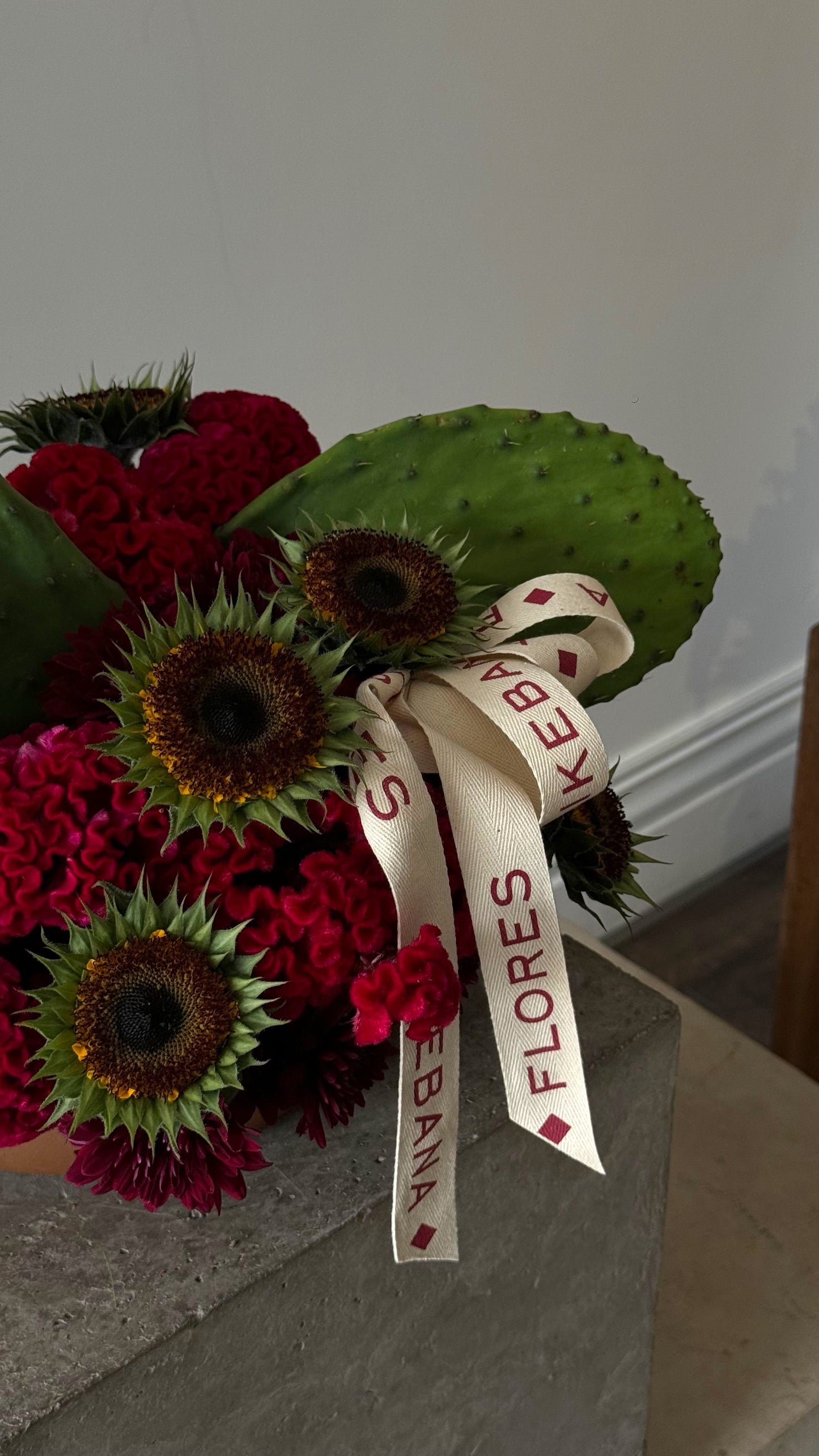 Nopal y girasol