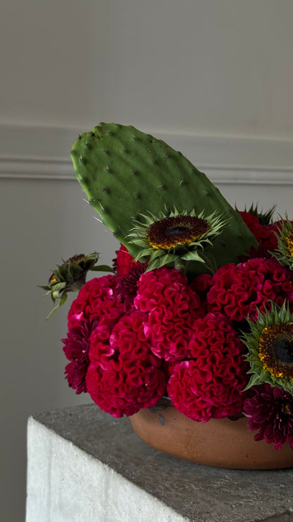 Nopal y girasol