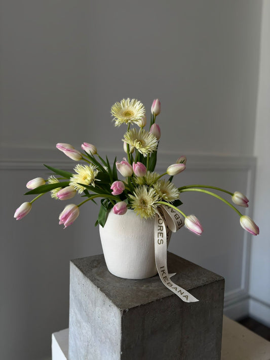 Tulipanes en Movimiento