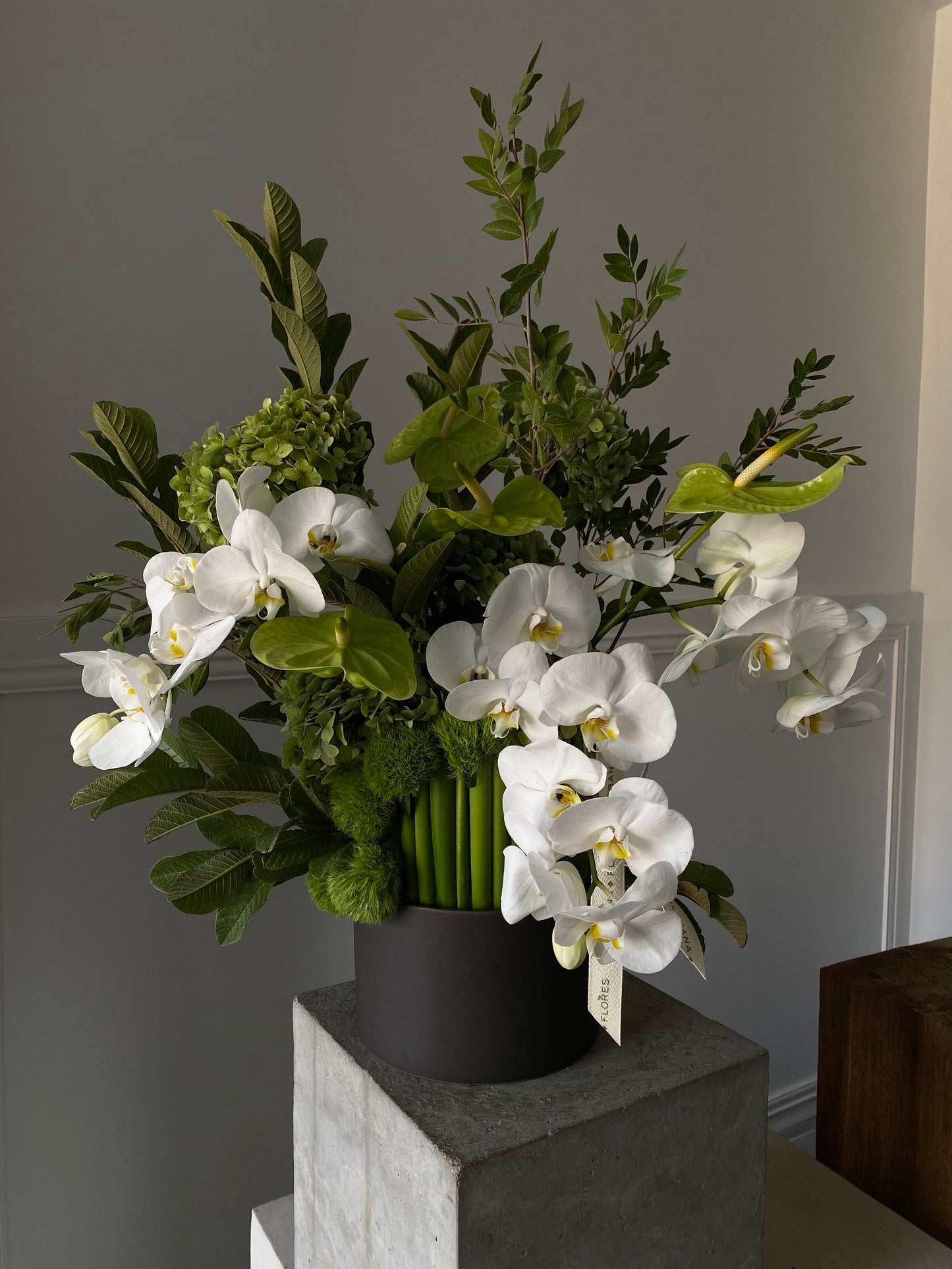 Orquídeas Ikebana