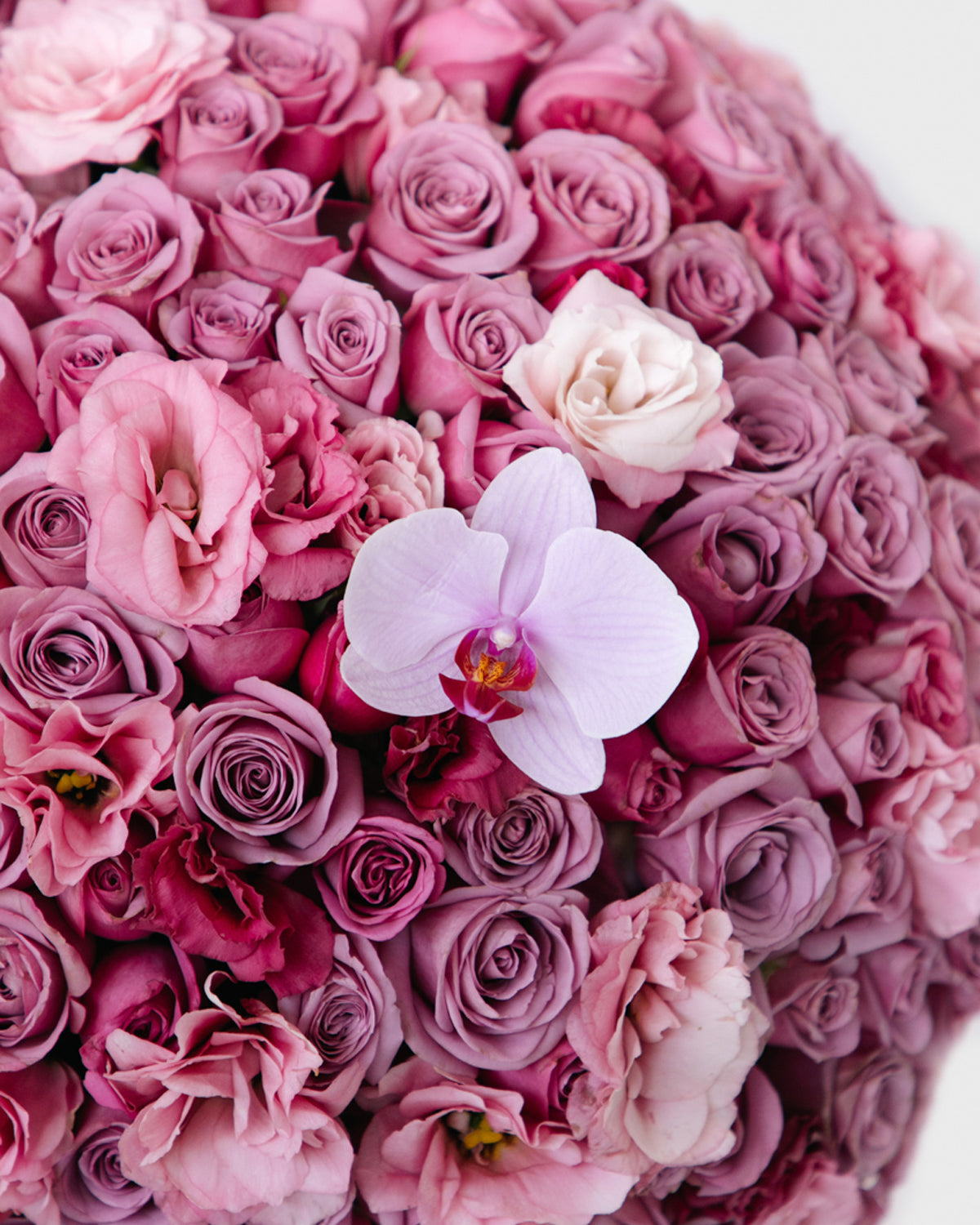 Pecera Mix Rosas, Lisianthus y Orquídea Phalaenopsis