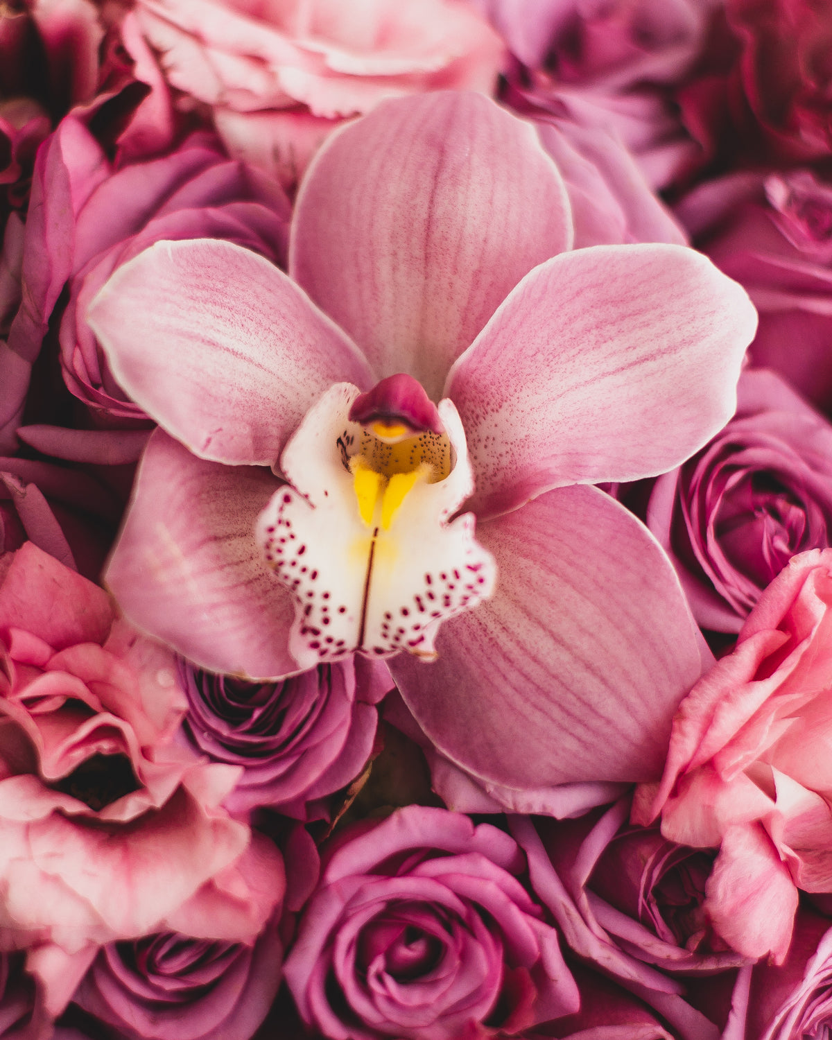 Caja Redonda Rosas, Lisianthus y Orquídea Cymbidium